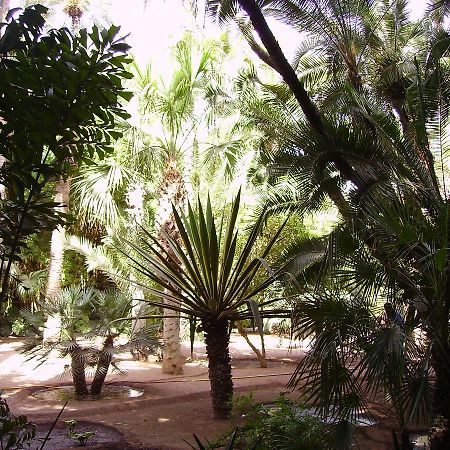Appart Avec Vue Jardin/Majorelle Marrakesh Esterno foto