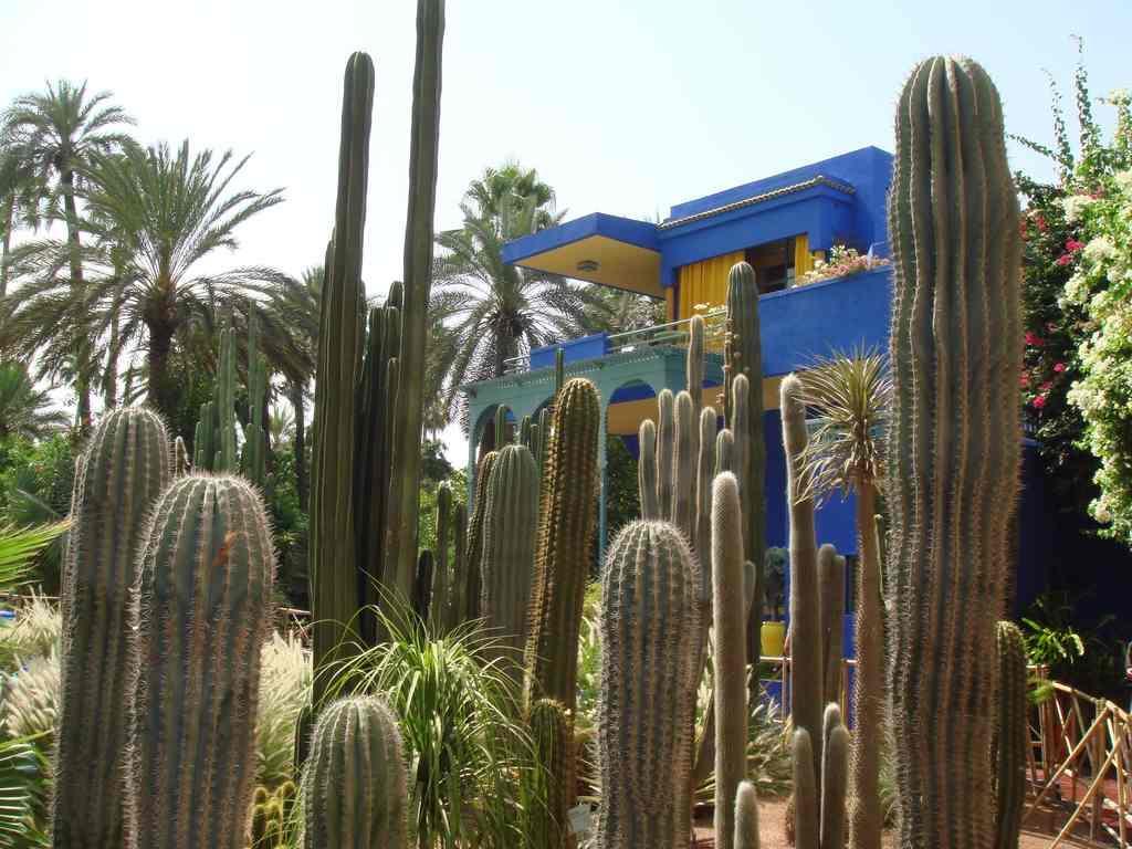 Appart Avec Vue Jardin/Majorelle Marrakesh Esterno foto
