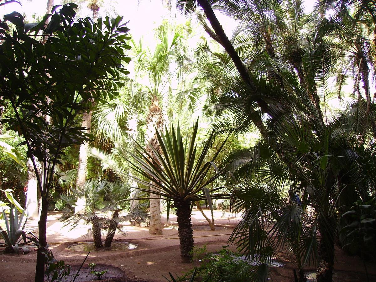 Appart Avec Vue Jardin/Majorelle Marrakesh Esterno foto